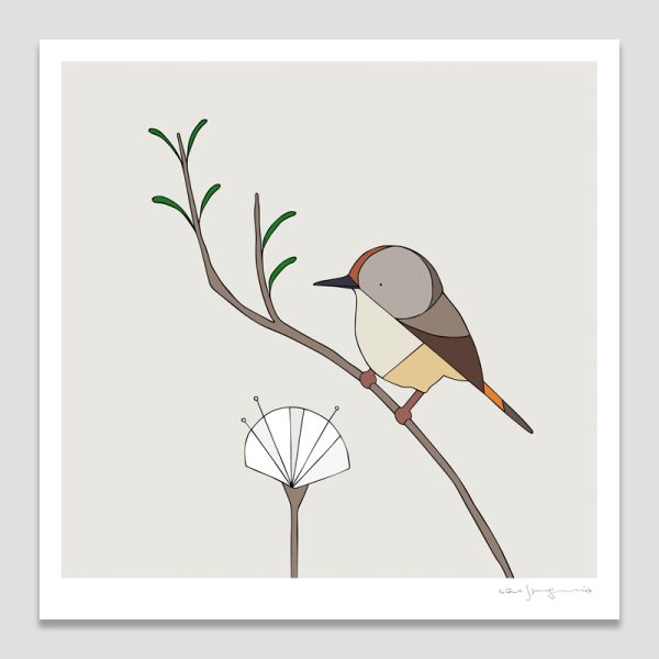 King Island Brown Thornbill