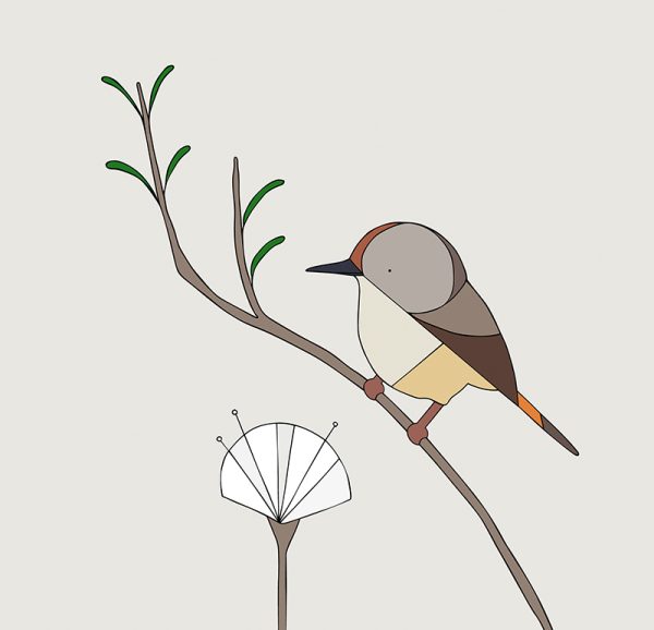 King Island Brown Thornbill - Image 3