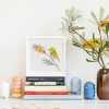 Silvereye and Grevillea - Image 2