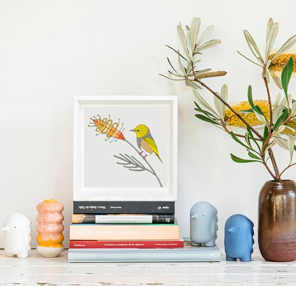 Silvereye and Grevillea - Image 2
