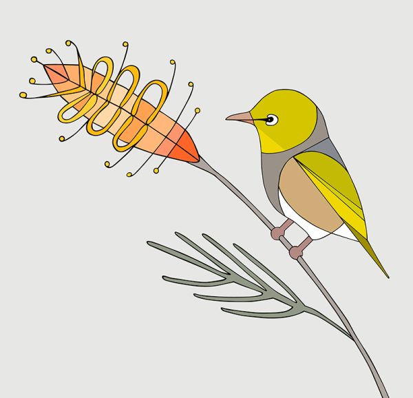 Silvereye and Grevillea - Image 3