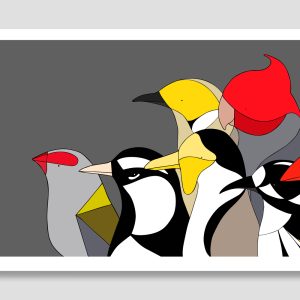 Birds of Australia