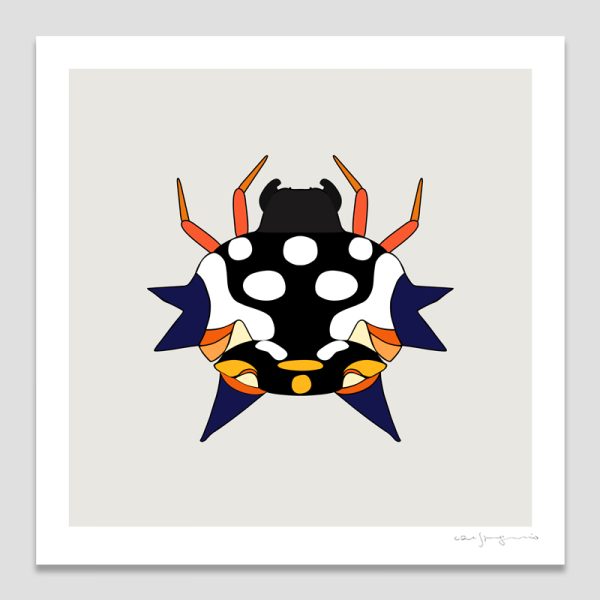 Jewel Spider