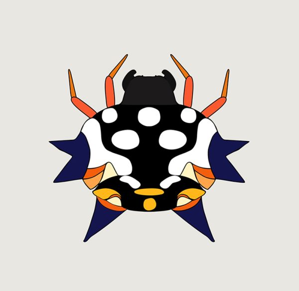 Jewel Spider - Image 3