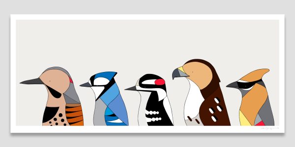 Birds of New York