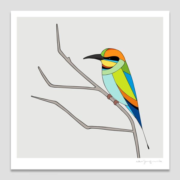 Rainbow Bee-eater