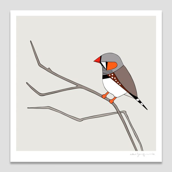 Zebra Finch