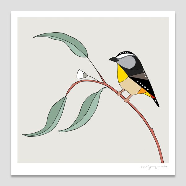 Spotted Pardalote and Eucalyptus