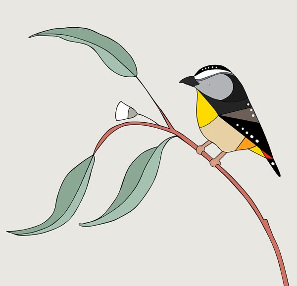 Spotted Pardalote and Eucalyptus - Image 3