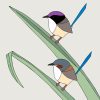 Purple-crowned Fairy-wrens and Pandanus - Image 3