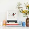 Red-backed Fairy-wren - Image 2