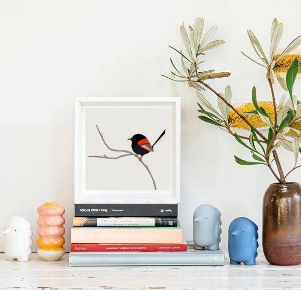 Red-backed Fairy-wren - Image 2
