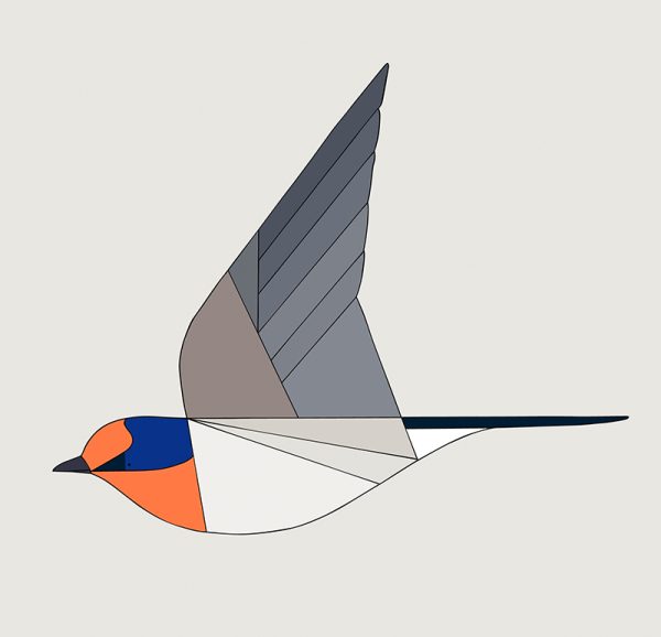 Welcome Swallow In Flight - Image 3