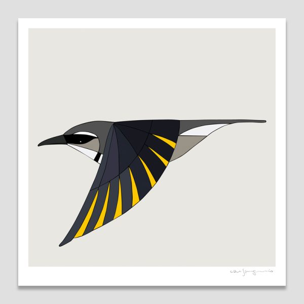 Crescent Honeyeater In Flight
