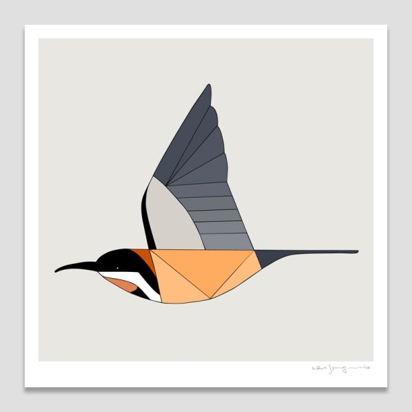 Eastern Spinebill In Flight