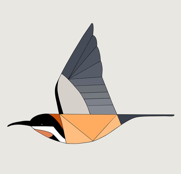 Eastern Spinebill In Flight - Image 3