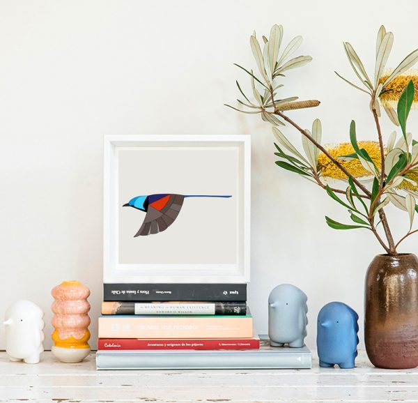 Variegated Fairy-wren In Flight - Image 2