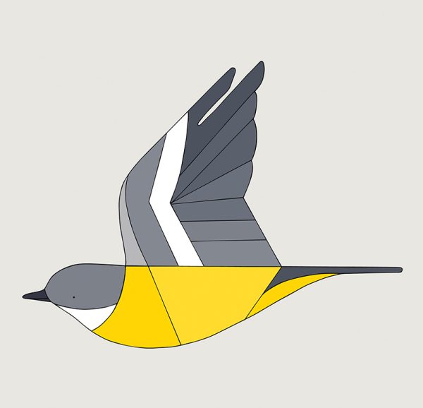 Eastern Yellow Robin In Flight - Image 3