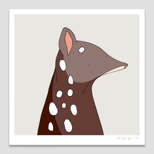 Spotted-tailed Quoll