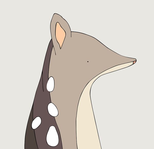 Eastern Quoll - Image 3