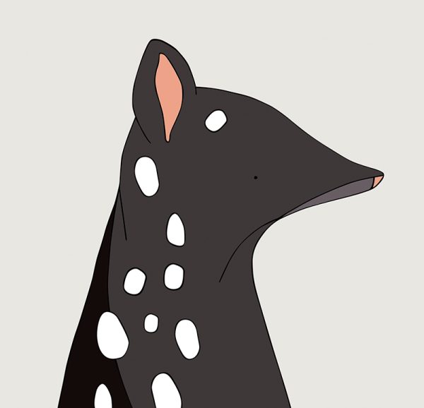 Eastern Quoll - Image 3