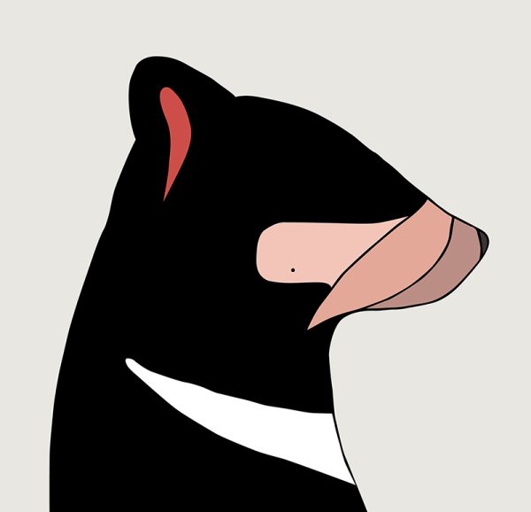 Tasmanian Devil - Image 3