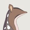 Northern Quoll - Image 3