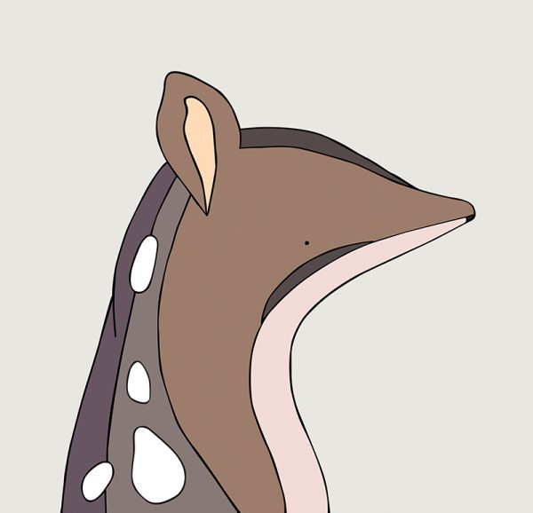 Northern Quoll - Image 3