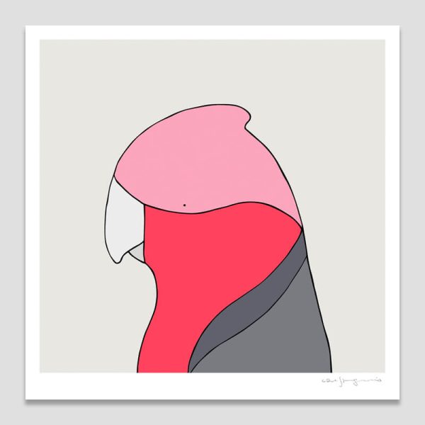 Galah
