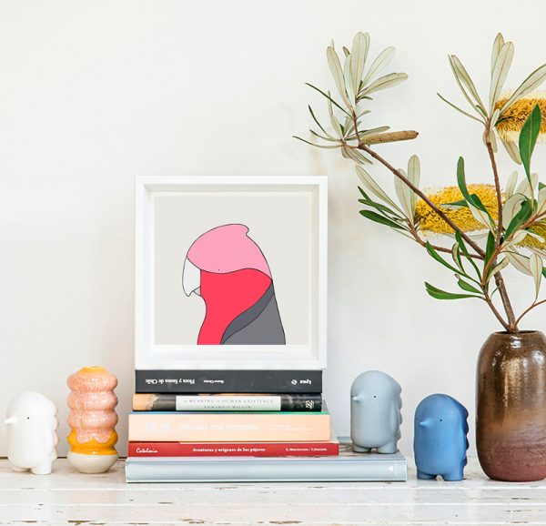 Galah - Image 2