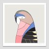 Bourke's Parrot