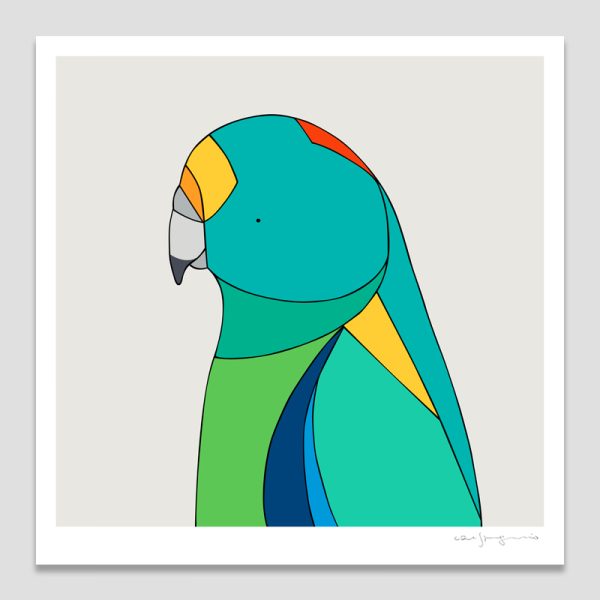 Mulga Parrot