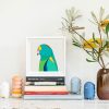 Mulga Parrot - Image 2
