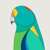 Mulga Parrot - Image 3