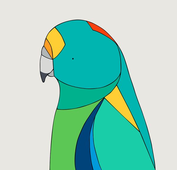Mulga Parrot - Image 3