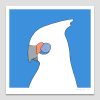 Little Corella