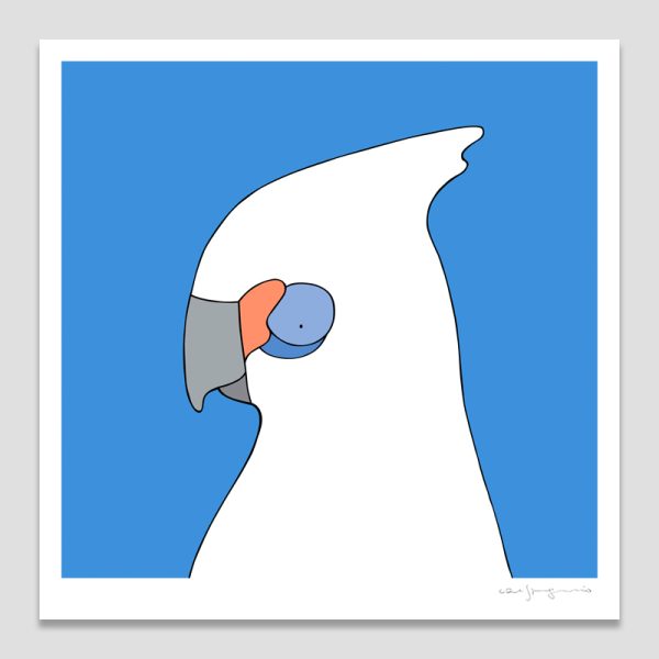 Little Corella