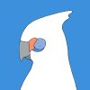 Little Corella - Image 3