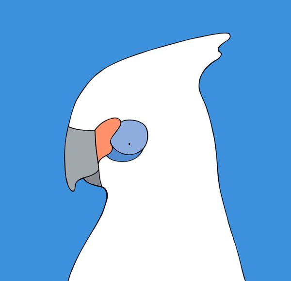 Little Corella - Image 3