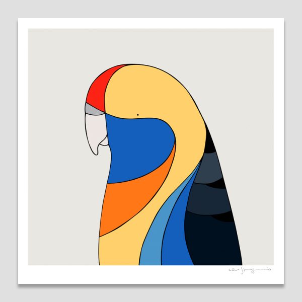 Adelaide Rosella