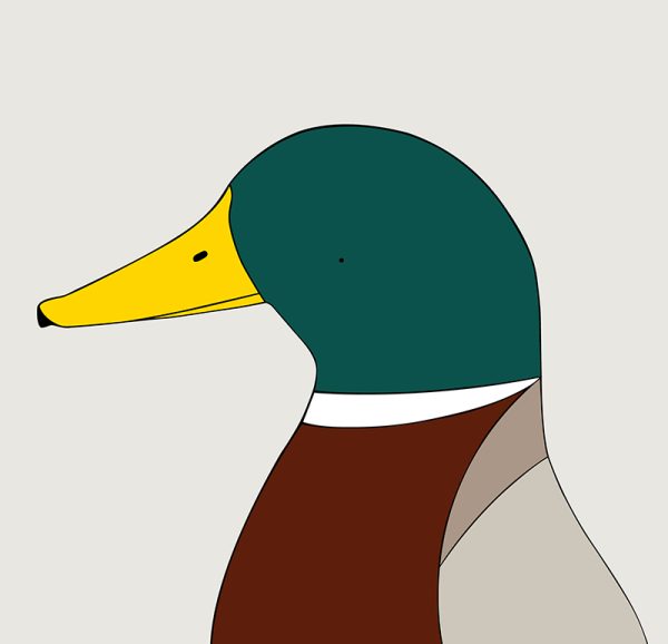 Mallard - Image 3