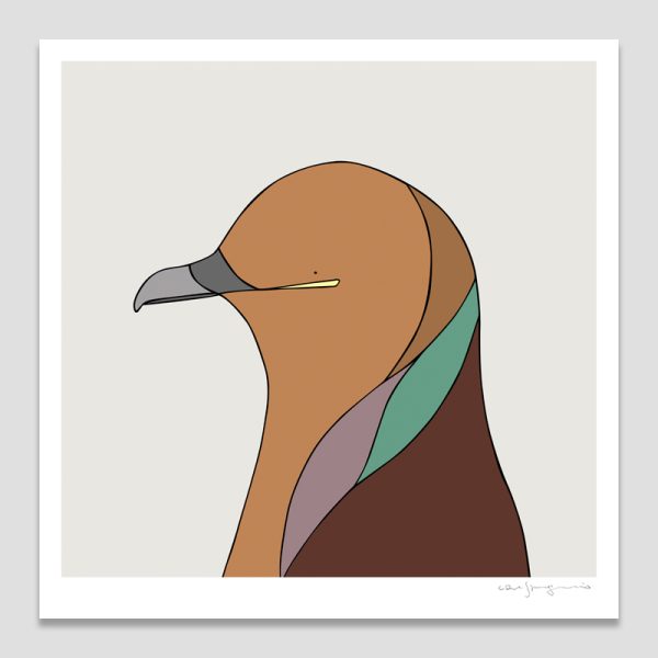 Brown Cuckoo-Dove