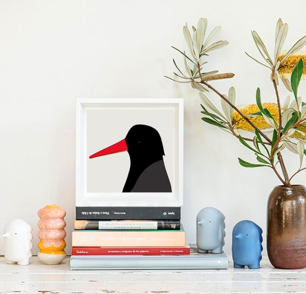 Sooty Oystercatcher - Image 2