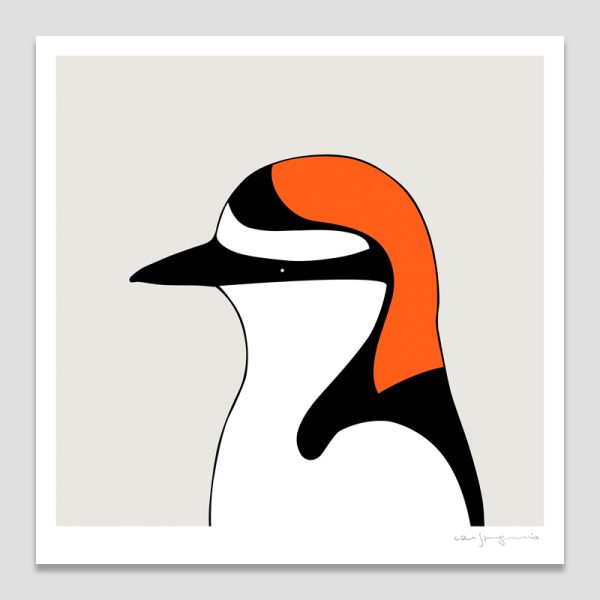Red-capped Plover