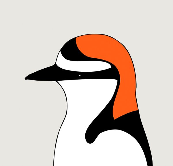 Red-capped Plover - Image 3