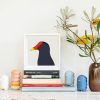 Dusky Moorhen - Image 2