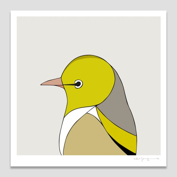 Silvereye