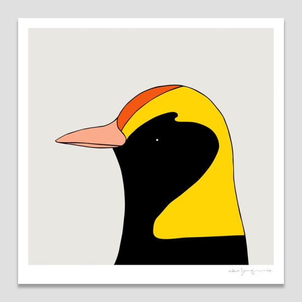 Regent Bowerbird