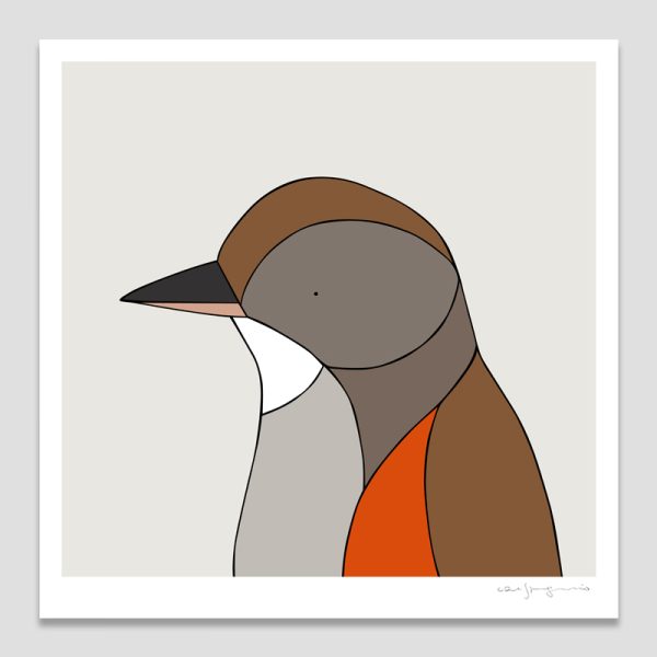 Eastern Bristlebird