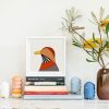 Plains-wanderer - Image 2